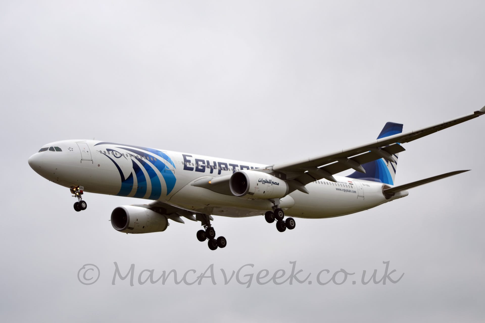 Side view of a white, twin engined jet airliner flying from right to left at a low altitude with it's undercarriage lowered and flaps extended from the rear of the wings, suggesting it is about to land. There is a large, stylised birds head in shades of black and blue on the forward fuselage, black "EgyptAir" titles on the fuselage over the wings, and swirly black and blue stripes on the tail. Flat white sky fills the rest of the frame.