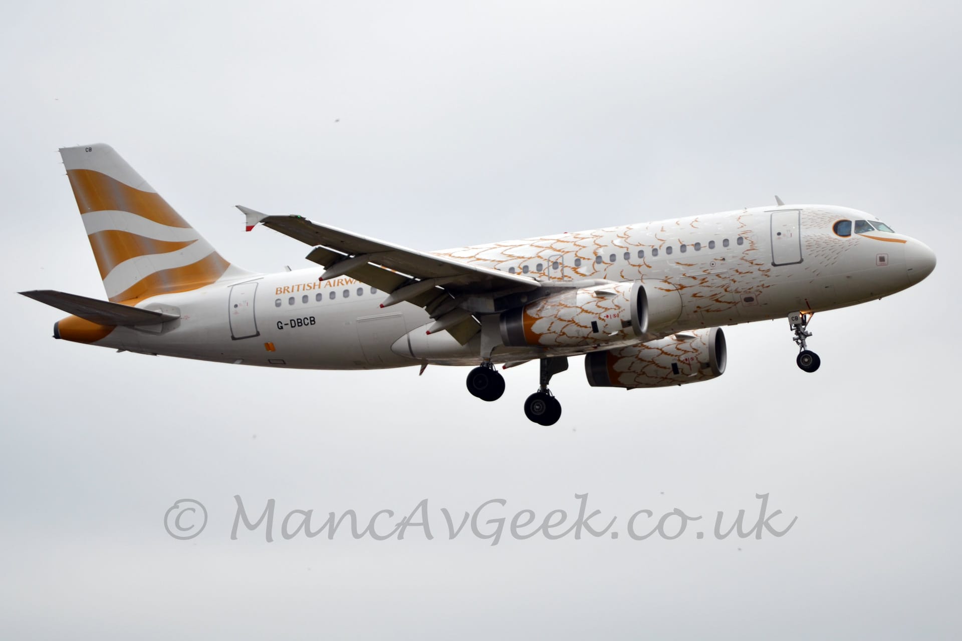 Side view of a twin engined jet airliner flying from left to right at a very low altitude, with flaps extended from the rear of the wing and undercarriage lowered, suggesting it is about to land. The plane is mostly white, with gold lines on the forward fuselage and engines suggesting a feathered body. There are 3 wavy gold stripes on the tail, gold "British Airways" titles on the upper rear fuselage, and the black registration "G-DBCB" on the lower rear. Grey cloud fills the rest of the frame.