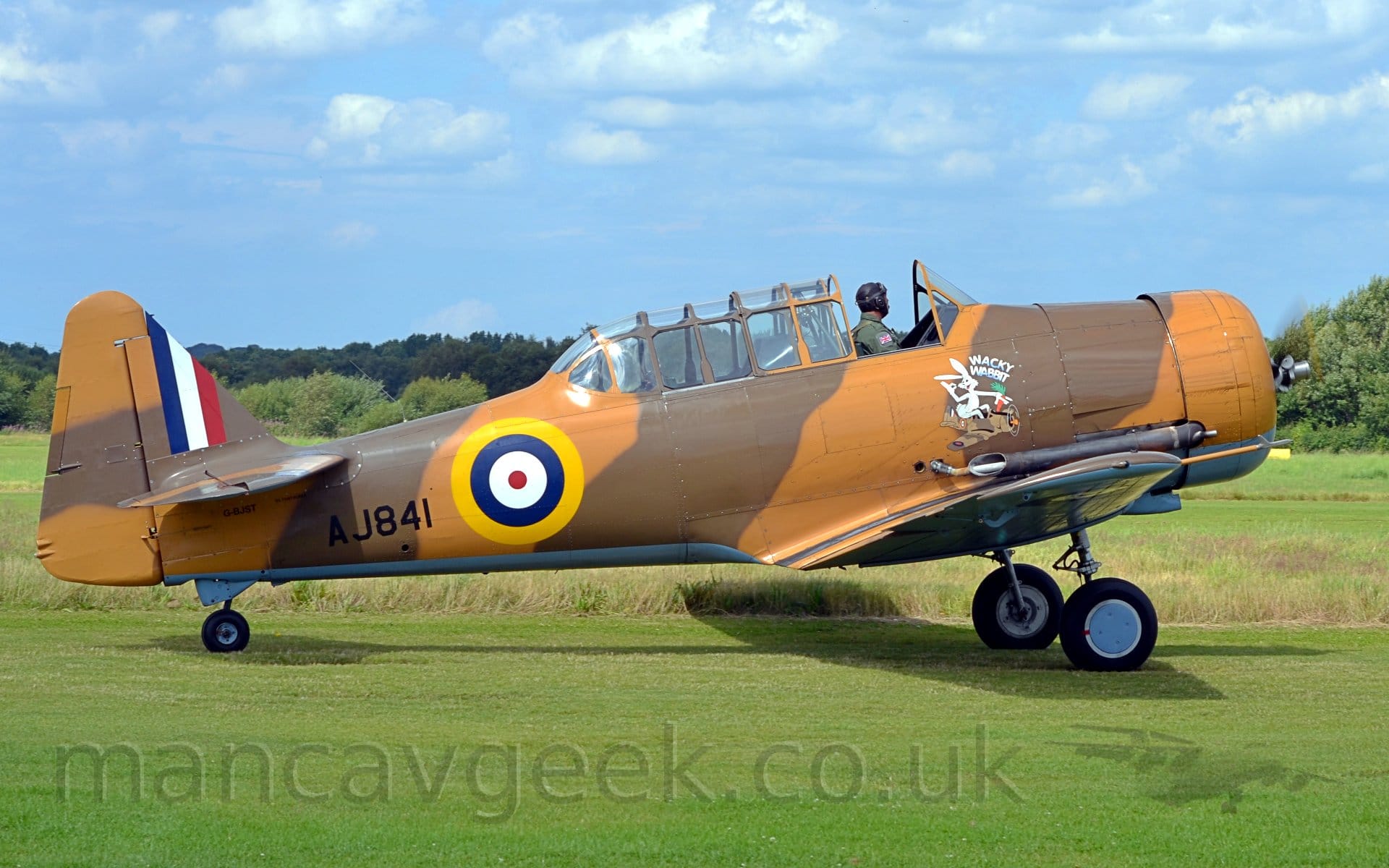Side view of a World War 2-era, single-engined military trainer aircraft taxiing from left to right on grass. The plane is covered in a dark brown and orange brown camouflage scheme, with a pale blue belly. There is a yellow, blue, white, and red roundel on the rear fuselage, and a large blue, white, and red fin flash on the tail. The black military serial "AJ841" is on the lower rear fuselage, while the civil registration "G-BJST" is further aft, under the horizontal stabiliser. There is an image of a grey and white cartoon rabbit, obviously based on Bugs Bunny, flying a massively under-sized version of this plane, under the front of the cockpit, with the words "Wacky Wabbit" over the top. The front part of the cockpit canopy is slid back, revealing the pilot sitting in the front seat, wearing a green shirt with a union flag on the top of the sleeve,  wearing a black leather flying helmet. Short-mown lush green grass fills the foreground, with longer grass visible under the plane in the background, with trees in the distance under blue sky with lumps of white cloud.