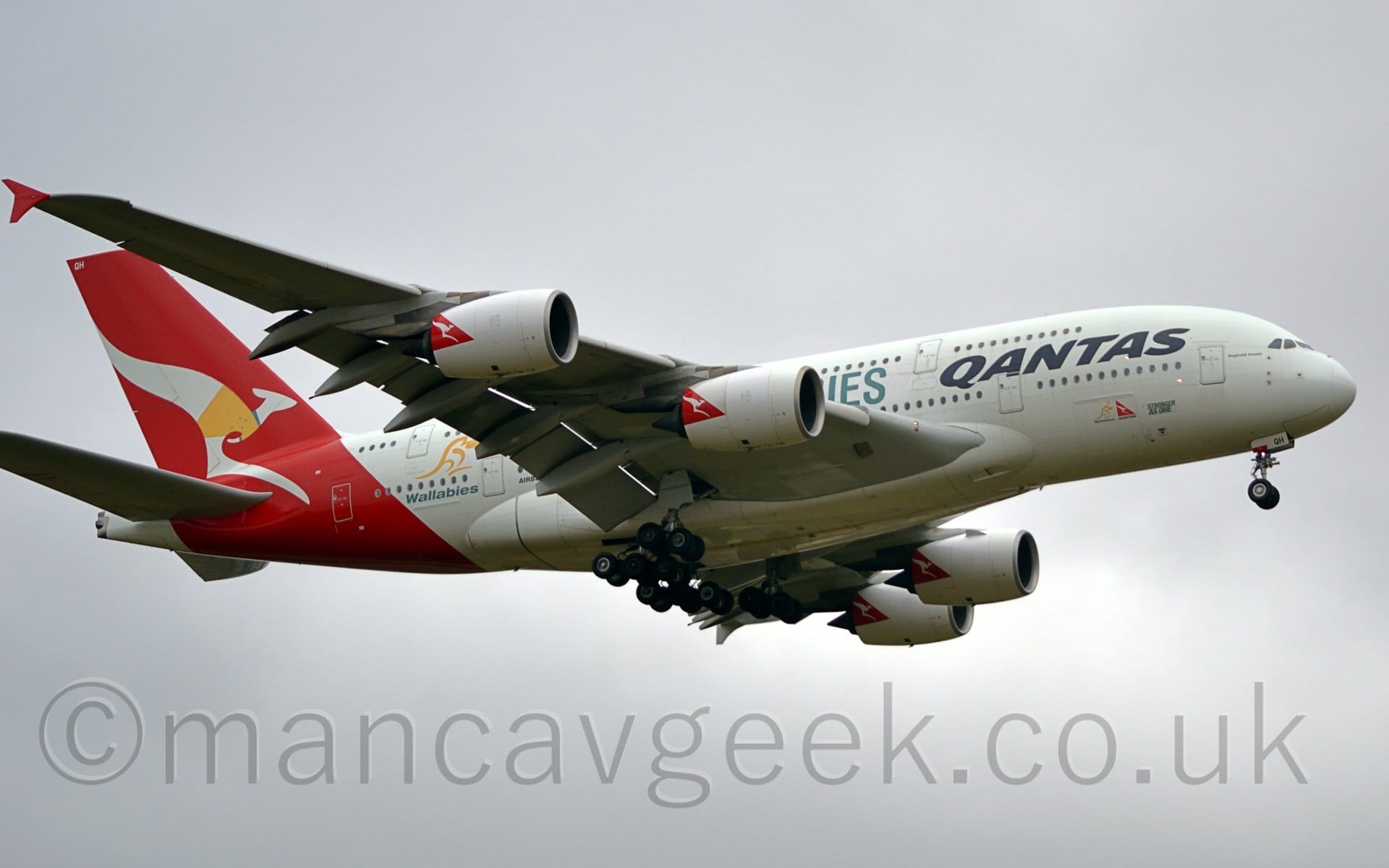 Side view of a very large, 4-engined jet airliner flying from left to right at a very low altitude, with undercarriage lowered and flaps extended from the rear of the wings. The plane is mostly white, with a red band around the rear fuselage and tail. There are black "Qantas" titles on the forward fuselage, with a yellow image of a kangaroo above the green word "Wallabies" on the side of the rear fuselage. The red tail has a stylised white kangaroo, wearing a yellow vest with a green collar. The red tail logo is repeated on the rear of each of the white engines, mounted under the wings. Flat white sky fills the rest of the frame.