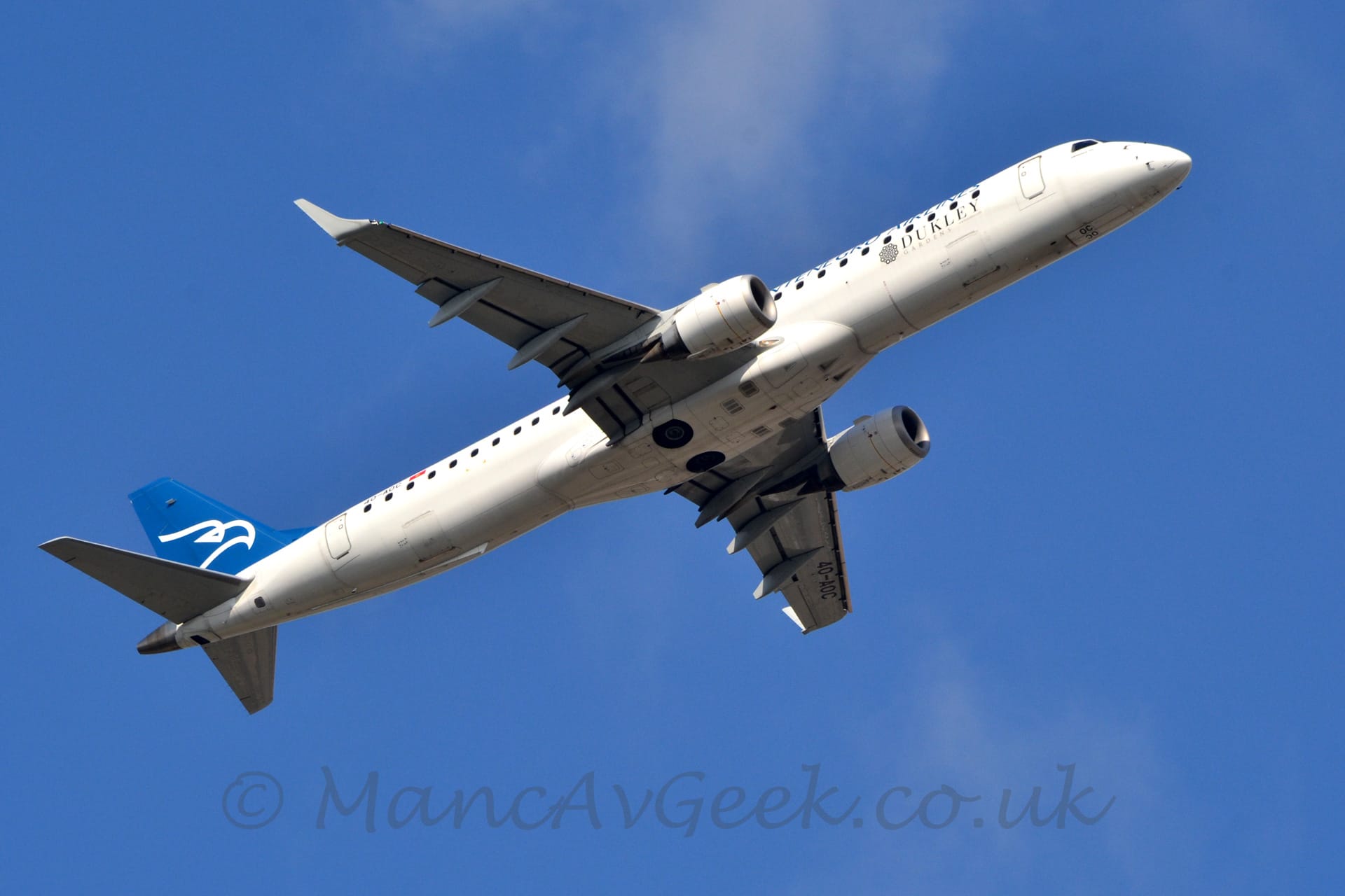 Low side view of a twin engined jet airliner flying from left to right. It's undercarriage is stowed away, with flaps extended from the rear of the wings, and the nose raised sharply, suggesting it has just taken off. The plane is mostly white, with blue, barely legible, "Montenegro Airlines " on the upper forward fuselage, black "Dukely Gardens" text next to a vaguely circular, geometric design that could possibly resemble the head of a flower if you squint hard enough, on the lower forward fuselage. The tail is blue, with a white, single-line drawing of an eagles head. The black registration "4O-AOC" is on the upper rear fuselage, and repeated under the left wing. Vivid blue sky fills the rest of the frame.