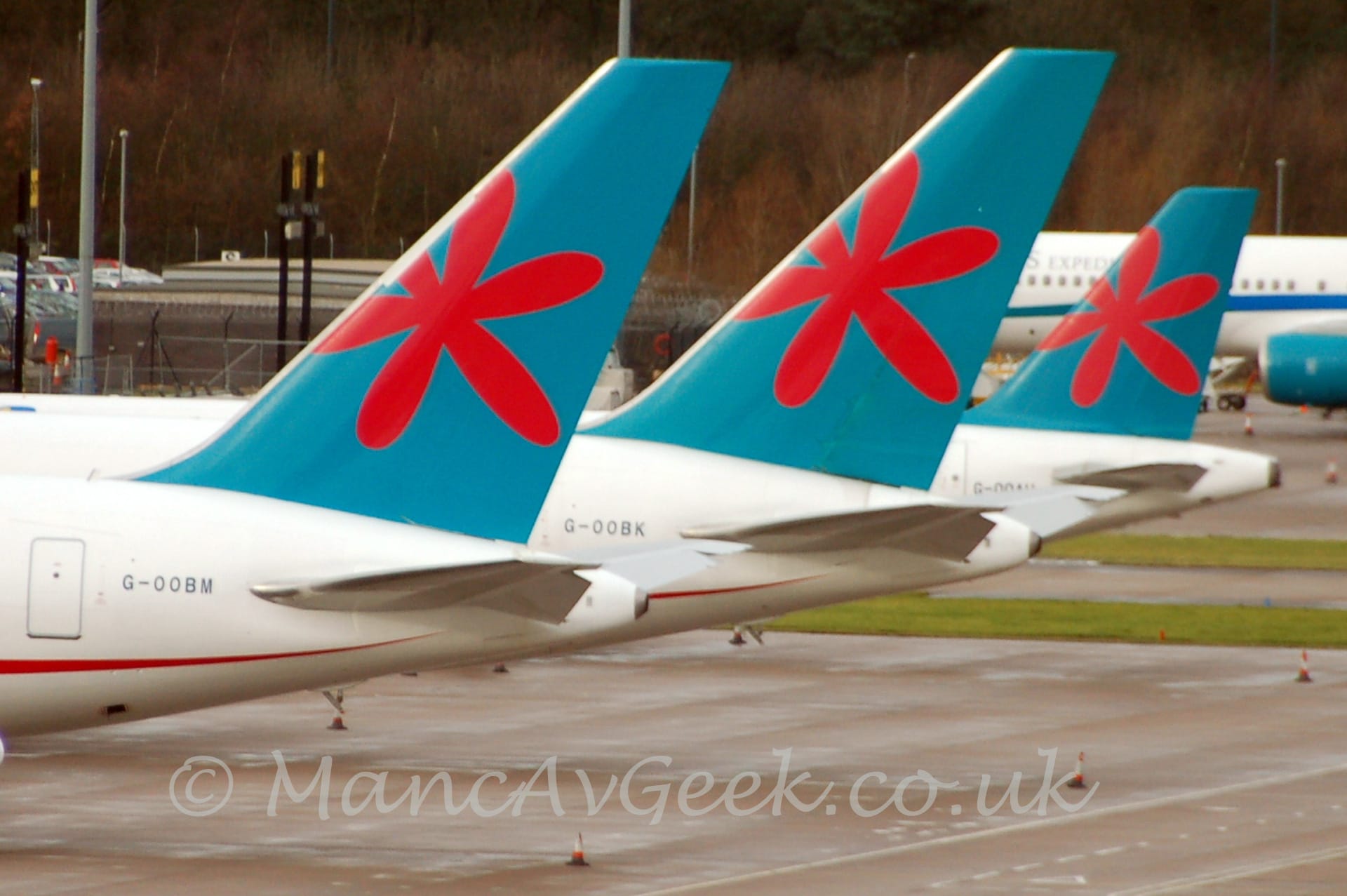 Close-up side view of the tails of 3 jet airliners parked facing to the left. The planes fuselages are white, with a thin red stripe running along the body, with the registration under the tail. The tail itself is a pale blue-green, with a splotchy red flower in the middle. Grey concrete apron fills the foreground, with trees filling the background, with the front fuselage of another white plane in similar colours in the background on the right.