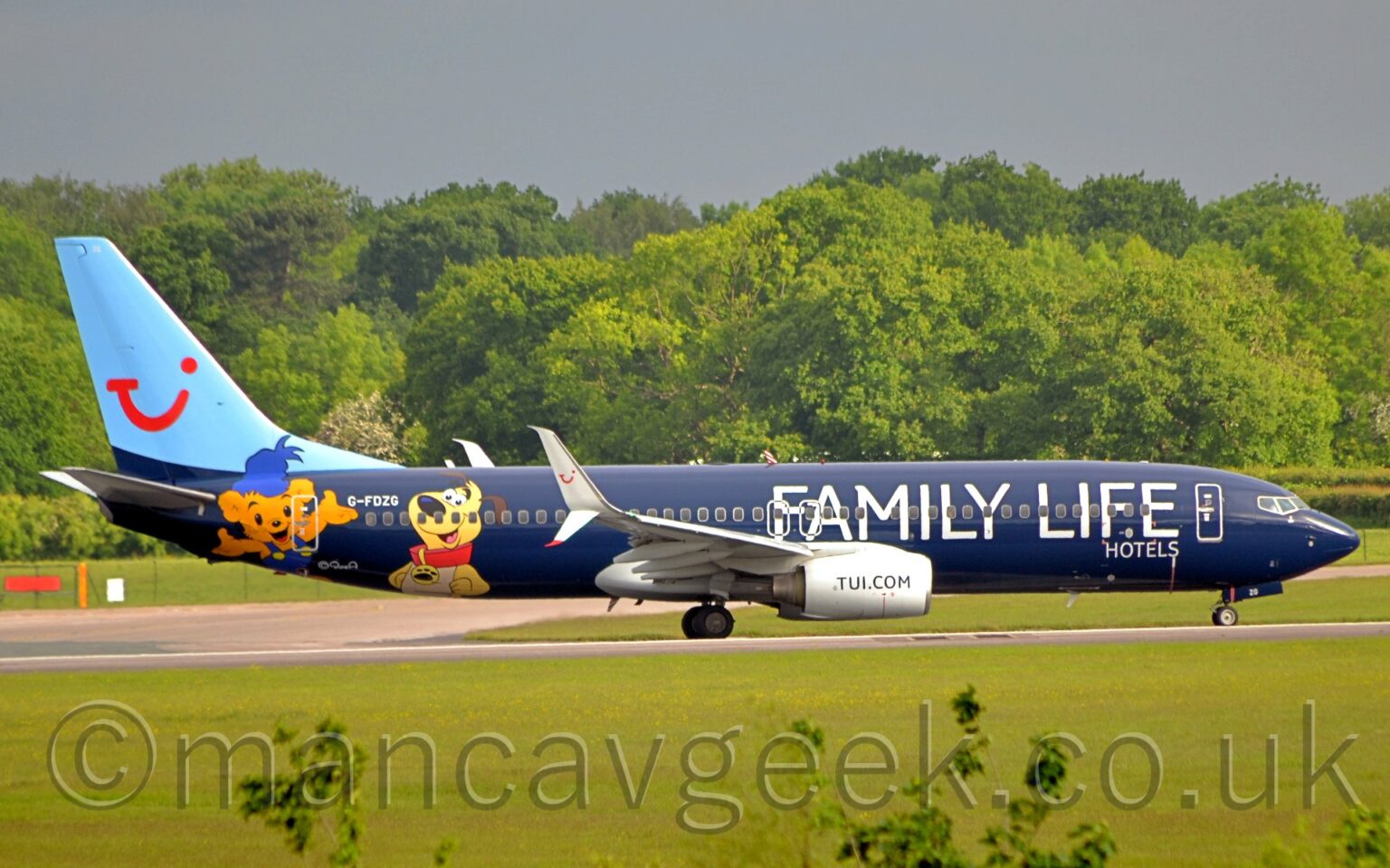 Side view of a twin engined jet airliner taxiing from left to right along a grey runway. The plane is primarily dark blue, with large white "Family Life" titles on the forward, with much smaller "Hotels" text below the last 2 letters. A pair of cartoon characters, an orange teddy bear and a yellow dog, are on the rear fuselage, either side of the white registration "G-FDZG". The tail is a light blue, with a red winky face that looks like the letters "T", "U", and "i" squished together. Green grass fills the foreground, with trees stretching across the background, under grey sky.