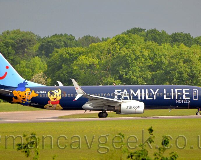 Side view of a twin engined jet airliner taxiing from left to right along a grey runway. The plane is primarily dark blue, with large white "Family Life" titles on the forward, with much smaller "Hotels" text below the last 2 letters. A pair of cartoon characters, an orange teddy bear and a yellow dog, are on the rear fuselage, either side of the white registration "G-FDZG". The tail is a light blue, with a red winky face that looks like the letters "T", "U", and "i" squished together. Green grass fills the foreground, with trees stretching across the background, under grey sky.