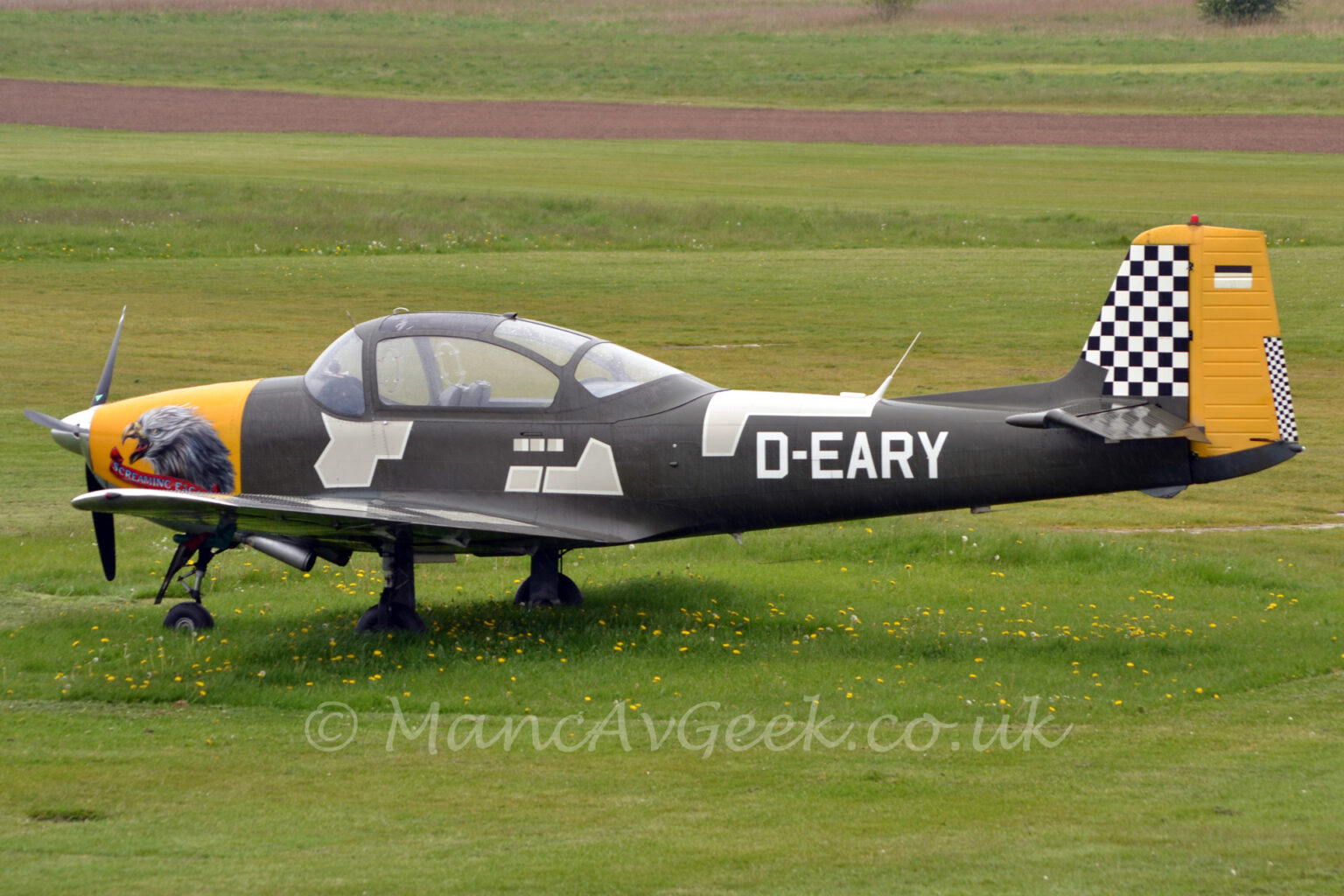 Side view of a single-engined light aircraft parked facing to the left on grass. The plane sis in a vaguely military-looking olive-green colour scheme, with large, seemingly random patches of white in several places, and the white registration "D-EARY" on the side of the rear fuselage. The engine cowling on the nose is bright yellow, with a large image of a rather aggressive-looking bird with it's mouth open in a screech, with a red banner with the words "Screaming Eagle" underneath. The tail has a black and white large checkerboard pattern on the front half, the rear half being bright yellow with a black and white fin flash towards the top. A section at the rear of the tail has a finer black and white checkerboard pattern. Green grass fills the rest of the frame, except for a dirt track crossing from one side to the other.