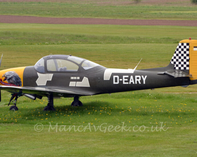 Side view of a single-engined light aircraft parked facing to the left on grass. The plane sis in a vaguely military-looking olive-green colour scheme, with large, seemingly random patches of white in several places, and the white registration "D-EARY" on the side of the rear fuselage. The engine cowling on the nose is bright yellow, with a large image of a rather aggressive-looking bird with it's mouth open in a screech, with a red banner with the words "Screaming Eagle" underneath. The tail has a black and white large checkerboard pattern on the front half, the rear half being bright yellow with a black and white fin flash towards the top. A section at the rear of the tail has a finer black and white checkerboard pattern. Green grass fills the rest of the frame, except for a dirt track crossing from one side to the other.
