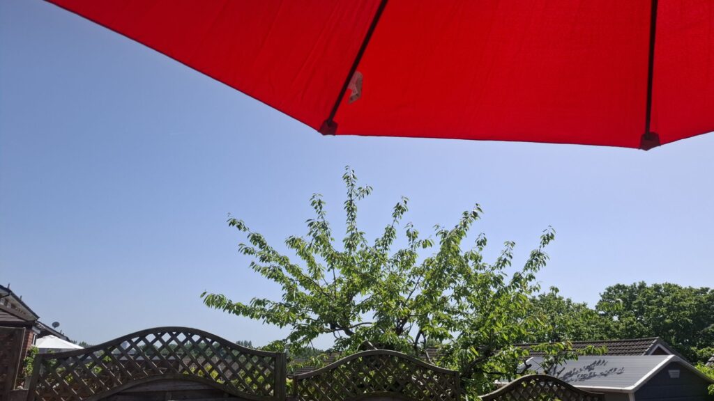 A solid block of vivid blue sky sandwiched between a fence and a tree at the bottom, and a large red parasol at the top.