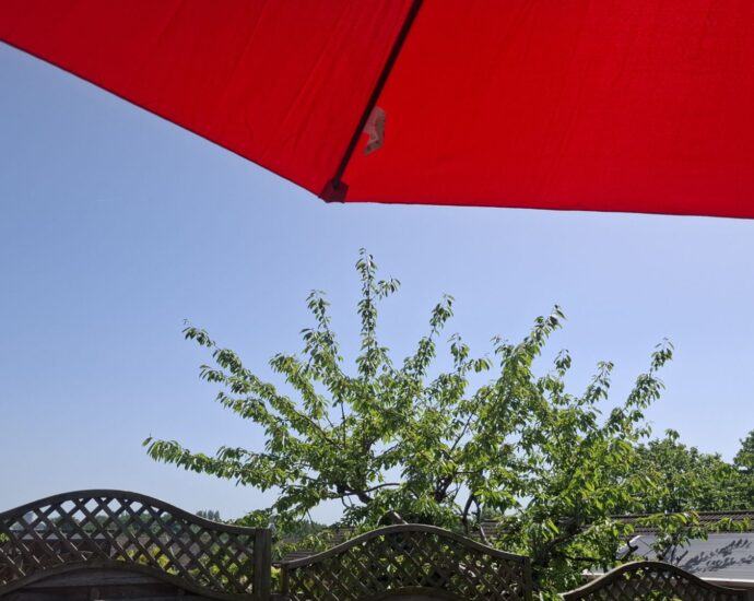 A solid block of vivid blue sky sandwiched between a fence and a tree at the bottom, and a large red parasol at the top.
