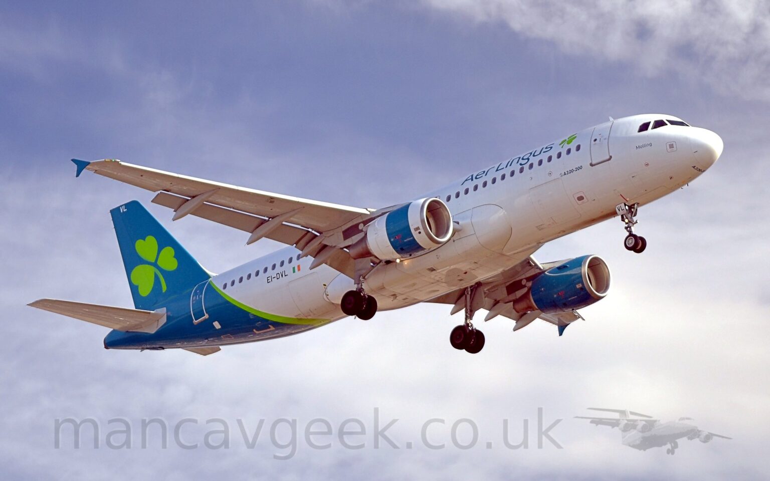 Low side view of a white, twin engined jet airliner flying from left to right at a low altitude, with undercarriage lowered and flaps extended from the rear of the wings, suggesting it is about to land. The plane has dark green "Aer Lingus" titles on the upper forward fuselage, next to a light green shamrock. The rear fuselage and tail is a deep aquamarine, with a larger version of the light green shamrock logo. The wingtips have a vertical metal plate on the end, painted the same aquamarine. The engine pods slung under the wings are slightly different - the one under the left wing is all aquamarine, with chrome high-lights, while the right-hand one is white with a vertical aquamarine band in the middle. Pale grey-blue sky and fluffs of white cloud fill the background.