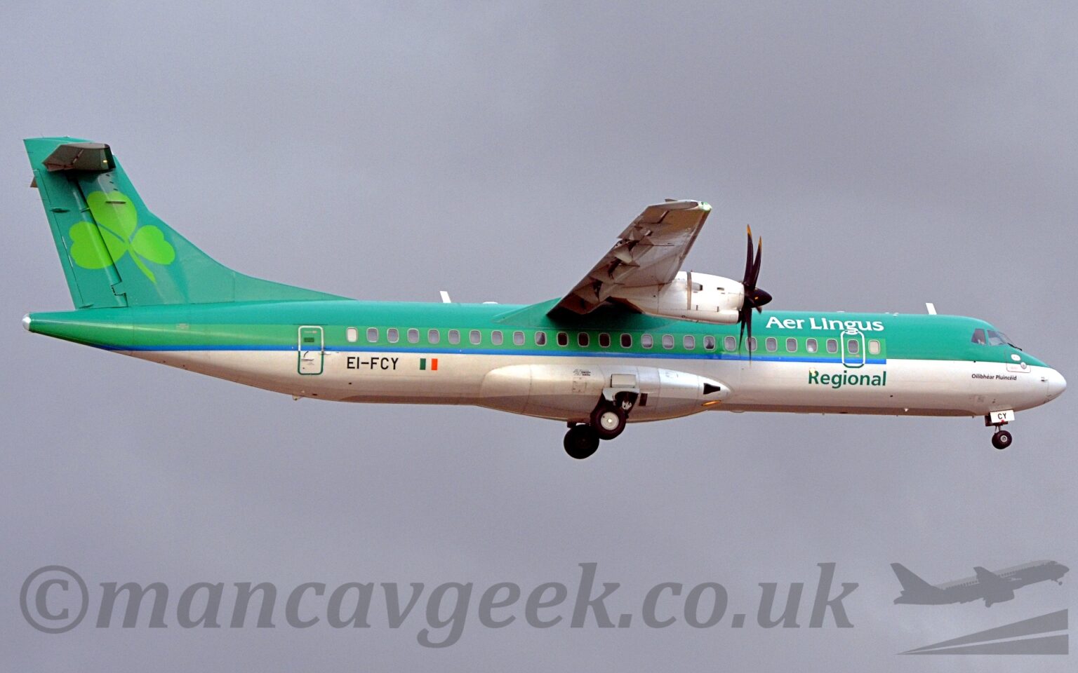 Side view of a high-winged, twin propellor-engined airliner flying from left to right at a very low altitude, with undercarriage lowered, flaps extended from the rear of the wings, suggesting it is about to land. The plane is a dull green on the top half, with a brighter green stripe running along the body covering the passenger cabin windows, with a thinner blue stripe below that, and a white lower half. There are white "Aer Lingus" titles on the upper forward fuselage, with dark green "Regional" titles on the lower forward fuselage. The black registration "EI-FCY" is on the lower rear fuselage, just aft of a small Irish flag. Grey-blue sky fills the rest of the image.
